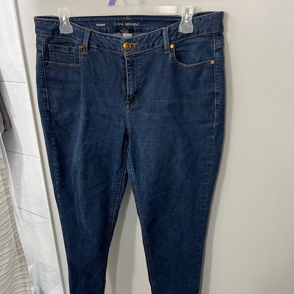 Lane Bryant Denim - Lane Bryant Skinny Jeans